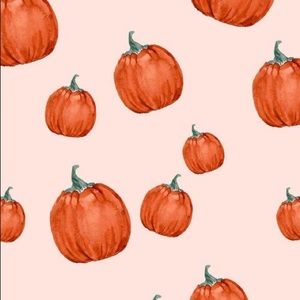 Meet your Posher, L a n i e